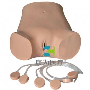 “康為醫(yī)療”高級電子腹腔穿刺訓練標準化模擬病人,腹腔穿刺訓練模型