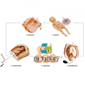 “康為醫(yī)療”高級腹部觸診、分娩機(jī)轉(zhuǎn)綜合模型