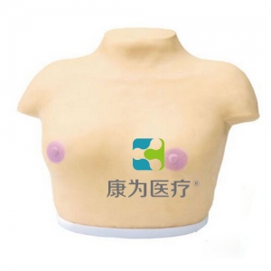 “康為醫(yī)療”高級乳腺視診與觸診模型,乳腺癌視診與觸診操作模型