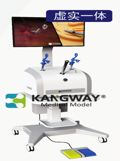 腹腔鏡下膽囊切除虛實結(jié)合模擬系統(tǒng) Virtual reality combined simulation system for cholecystectomy MODEL：SynDaver6510系列 品牌：SynDaver 辛達弗機器人